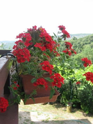 f0234936_21264541.jpg