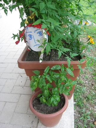 f0234936_2222340.jpg