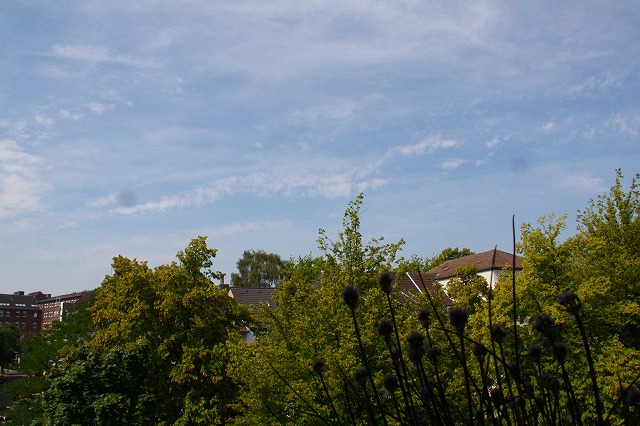 c0153740_1862829.jpg