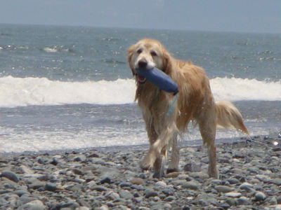 e0158841_10534730.jpg