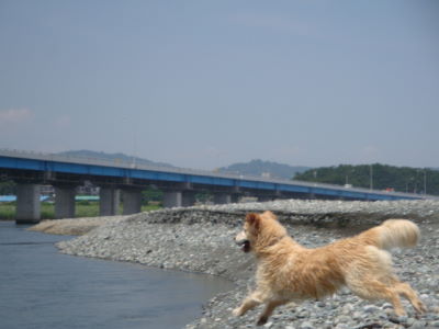 e0158841_10544011.jpg