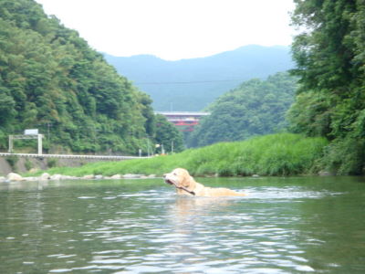e0158841_1116011.jpg