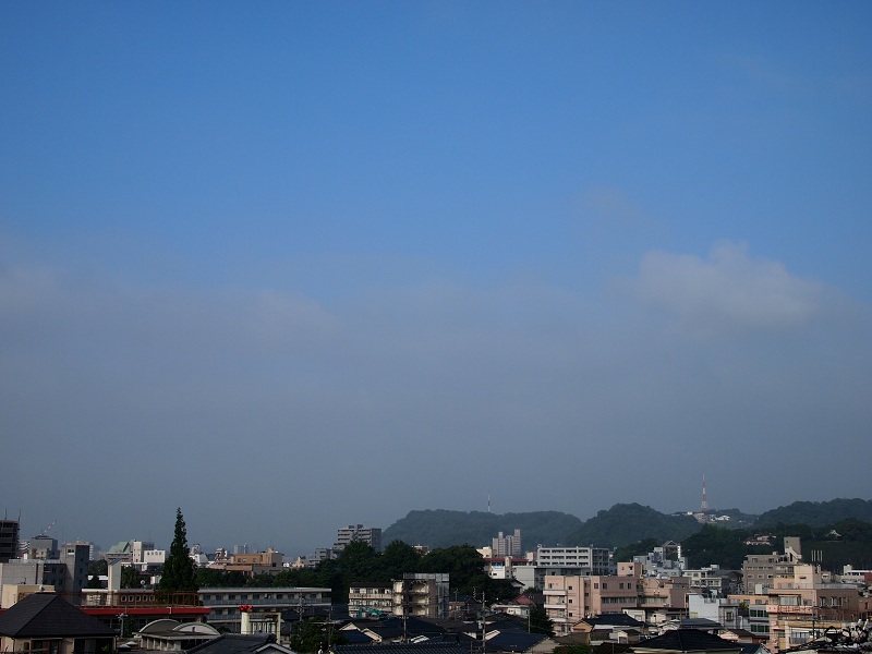 a0146442_7515626.jpg