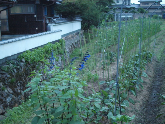 c0072843_19313641.jpg