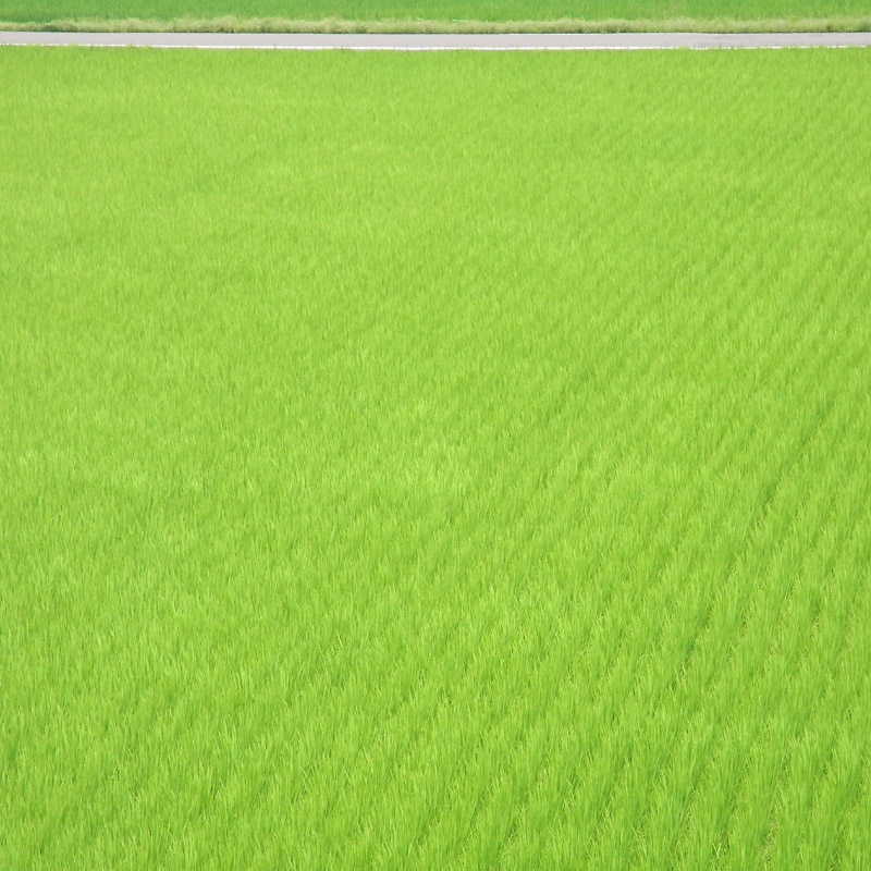 f0184244_0364041.jpg