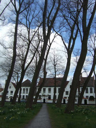 f0201745_16303855.jpg