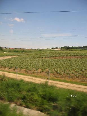 c0098050_21102793.jpg