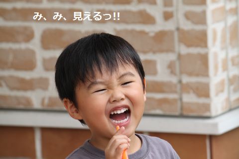 a0090451_0435790.jpg