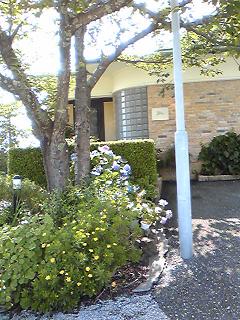 e0193051_17171450.jpg
