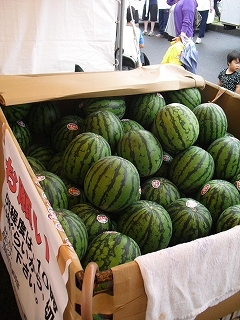f0009451_933222.jpg
