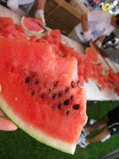 f0009451_9585128.jpg