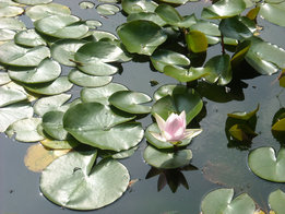 a0088456_20533399.jpg