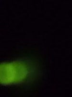 e0151758_2043524.jpg