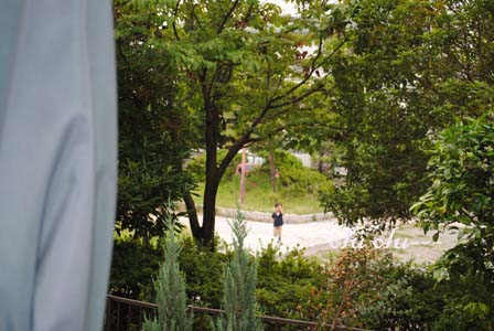 d0145562_10494260.jpg