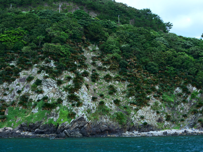 b0062363_20261028.jpg