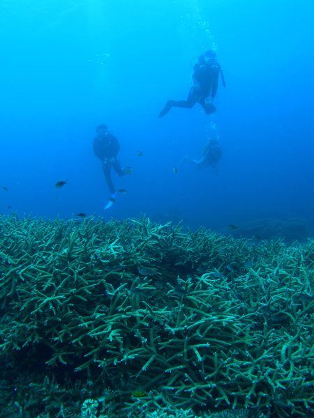 b0062363_8575228.jpg