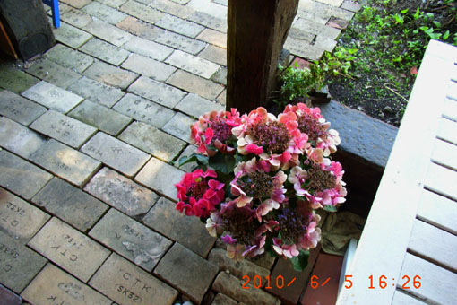 b0075364_21152874.jpg