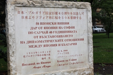 a0154765_1755929.jpg