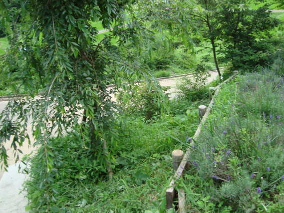 d0152765_13135933.jpg