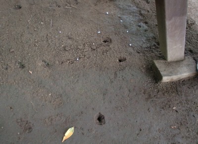 c0112172_125873.jpg