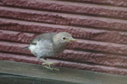 d0114782_1102819.jpg