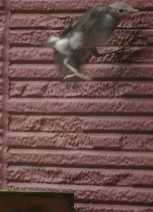 d0114782_182173.jpg
