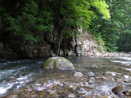b0178889_20511022.jpg