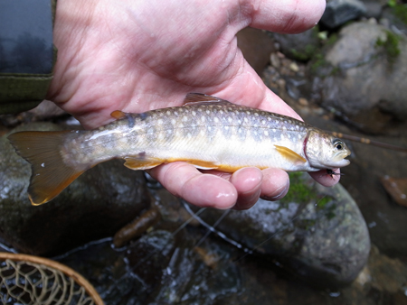 b0178889_20513768.jpg