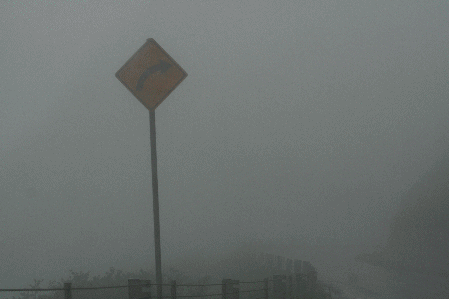 f0146493_14255041.gif