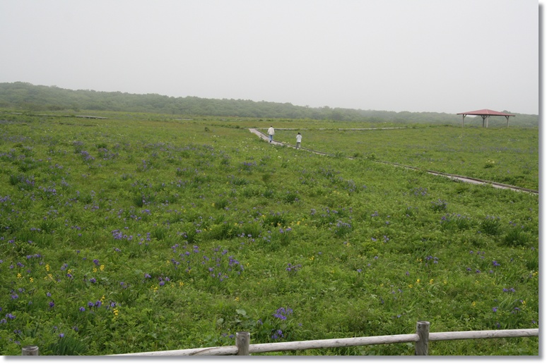 f0146493_14323991.jpg