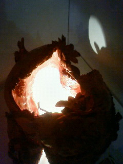 e0051194_1103427.jpg