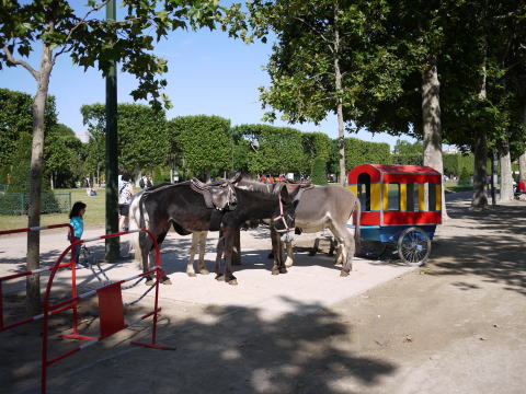 c0090198_6265628.jpg