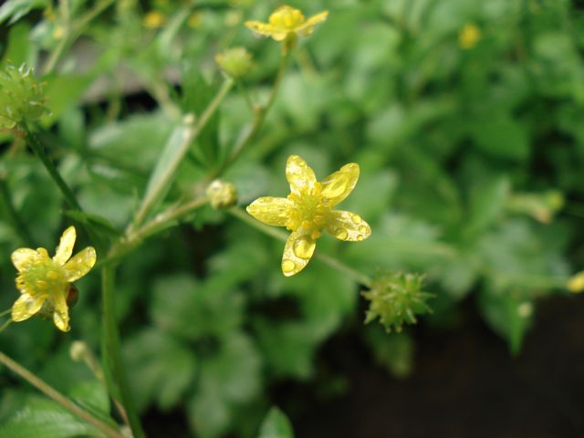 a0061599_7464898.jpg