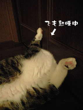 c0035001_1324213.jpg