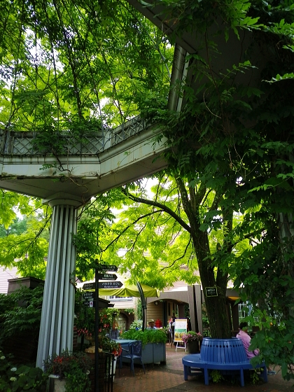 f0065604_19532784.jpg