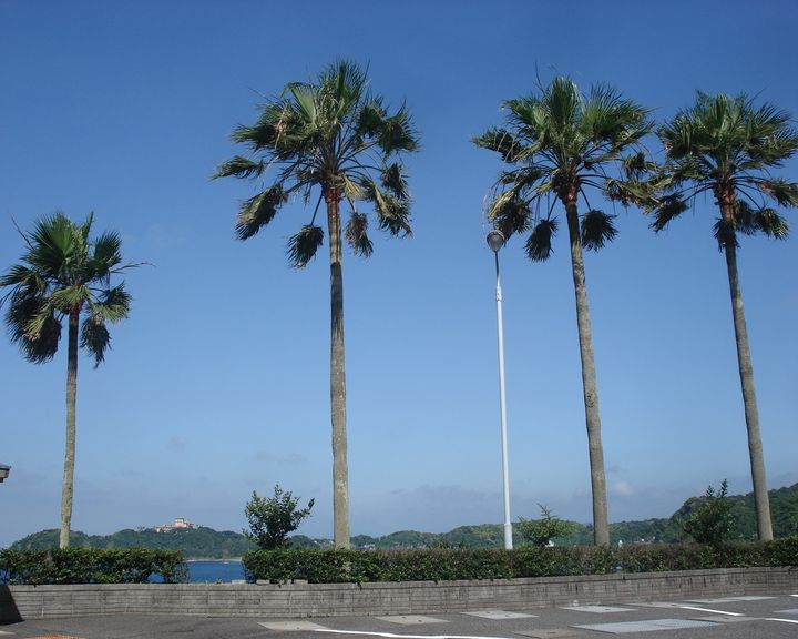 f0084806_714181.jpg