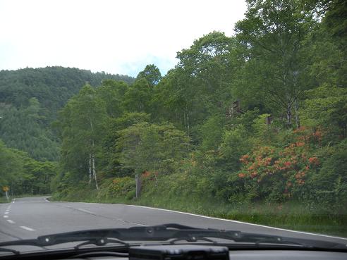 f0057509_11261641.jpg