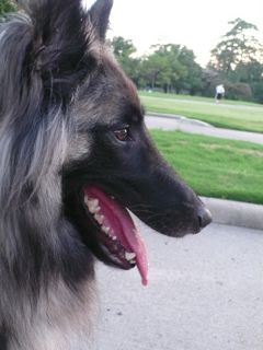 f0227709_02583.jpg