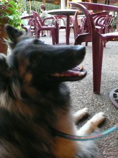 f0227709_034892.jpg