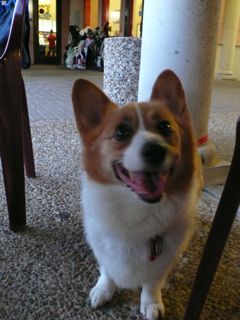 f0227709_04337.jpg