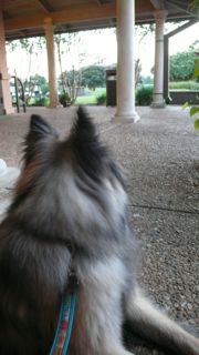 f0227709_044233.jpg