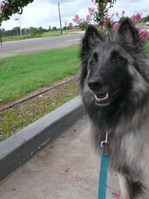 f0227709_6493012.jpg