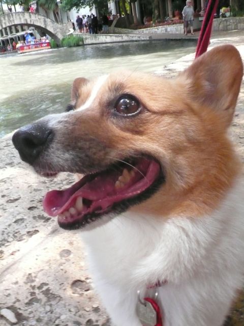 f0227709_6501434.jpg