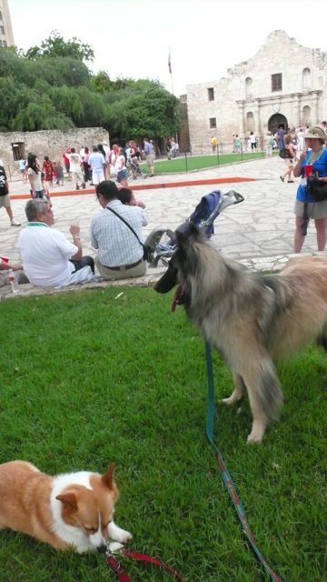 f0227709_651321.jpg