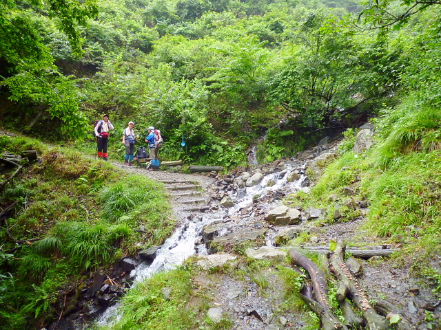 d0170615_7205447.jpg