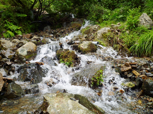 d0170615_7234551.jpg