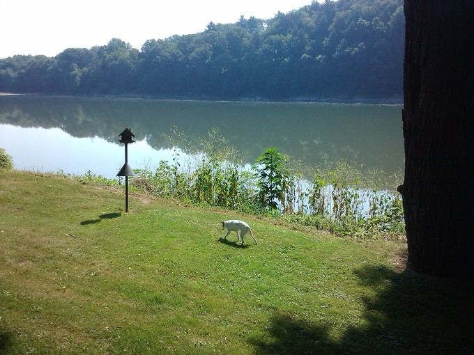 c0202520_23223846.jpg
