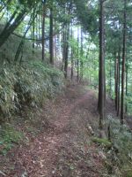 f0177521_2174734.jpg
