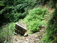 f0177521_703078.jpg