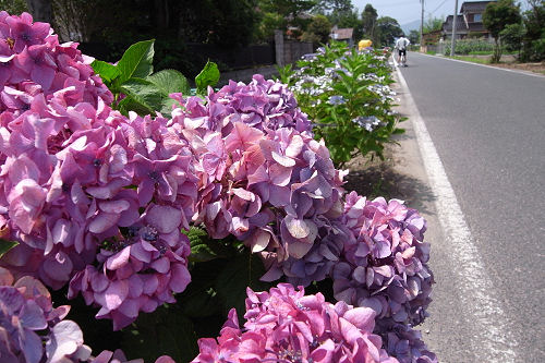 f0007926_2184483.jpg